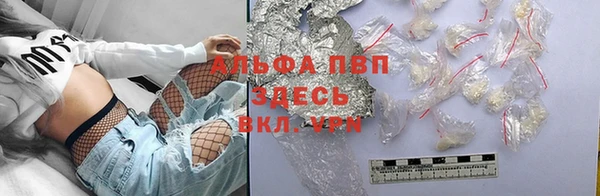 гашик Алексеевка