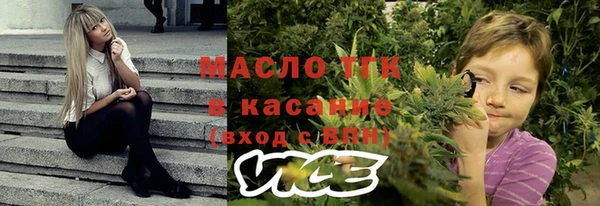 гашик Алексеевка