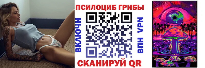 Псилоцибиновые грибы Psilocybe  Медынь 